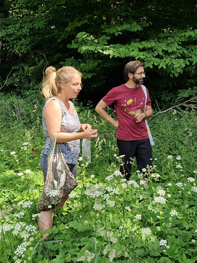 Photo from customer review