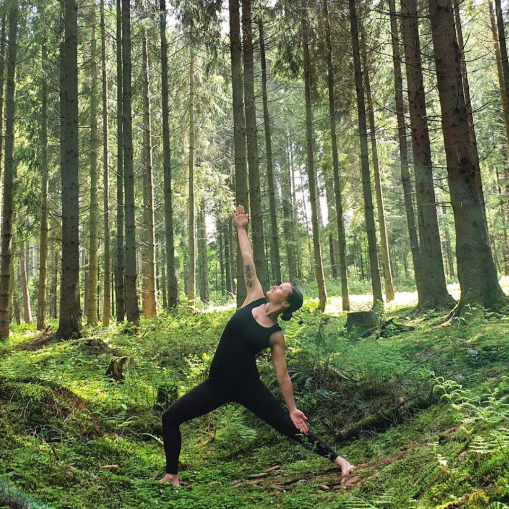 Wald, Yoga, Kräuter